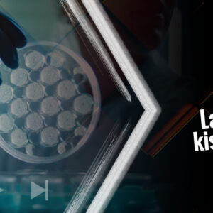 Kortalanul! Labor kisokos